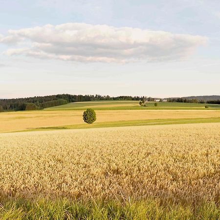 Апартаменты Bantlehof Niedereschach Экстерьер фото